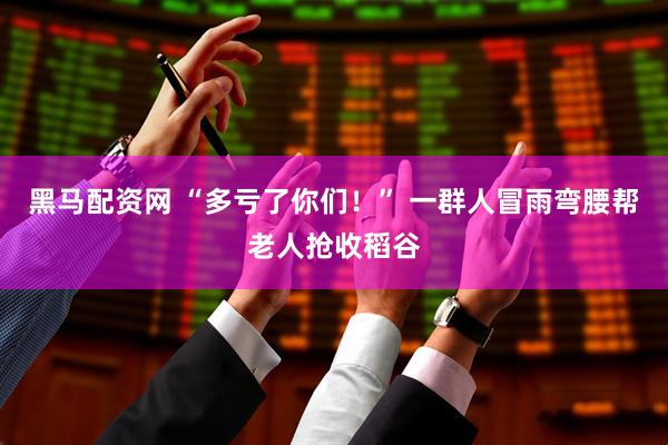 黑马配资网 “多亏了你们！” 一群人冒雨弯腰帮老人抢收稻谷