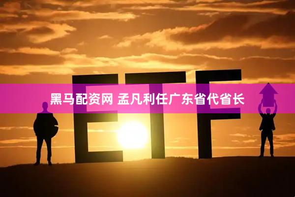 黑马配资网 孟凡利任广东省代省长
